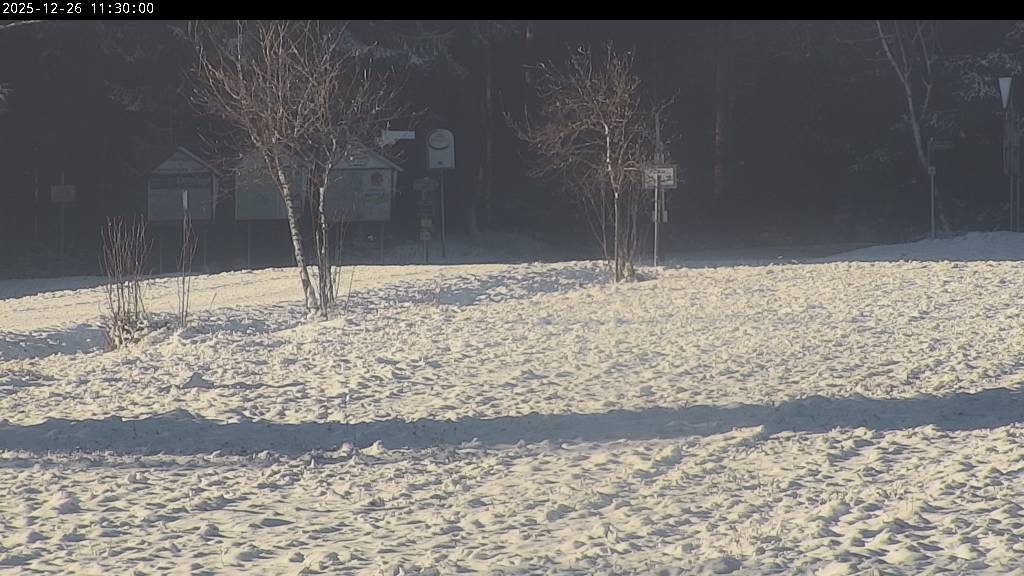 Webcam Johanngeorgenstadt