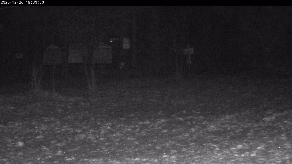 Webcam Johanngeorgenstadt