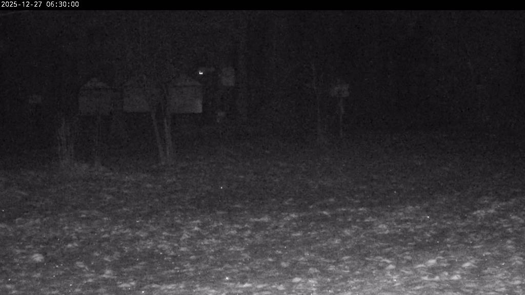 Webcam Johanngeorgenstadt