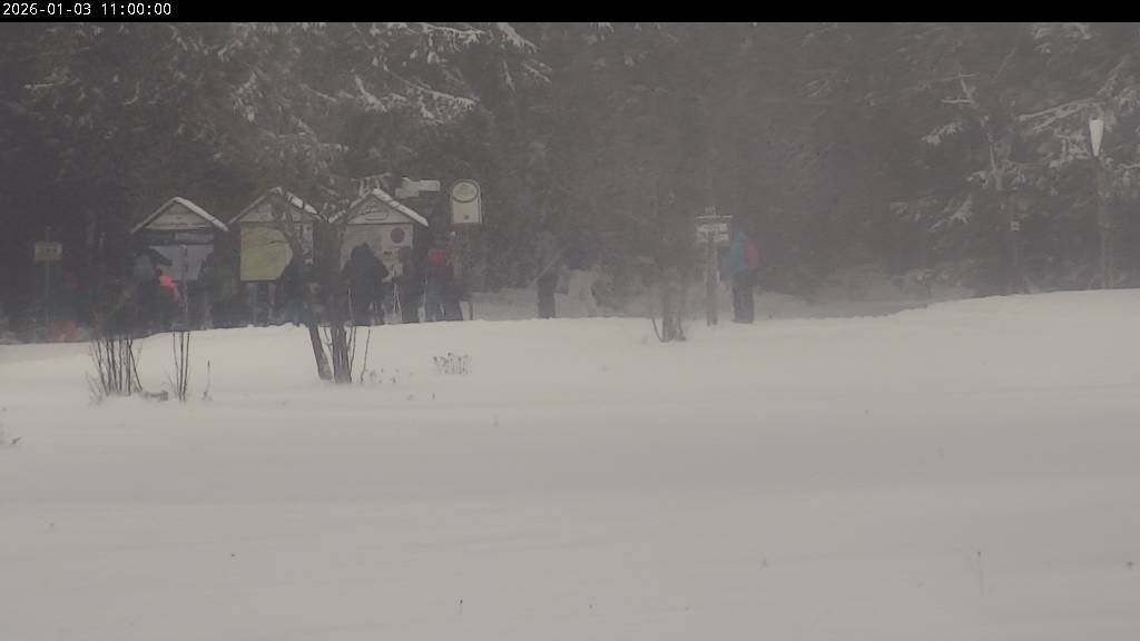 Webcam Johanngeorgenstadt