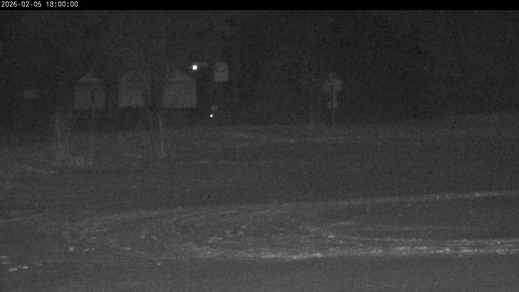 Webcam Johanngeorgenstadt