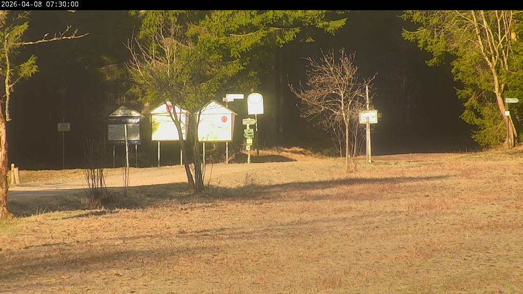 Webcam Johanngeorgenstadt