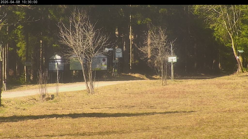 Webcam Johanngeorgenstadt