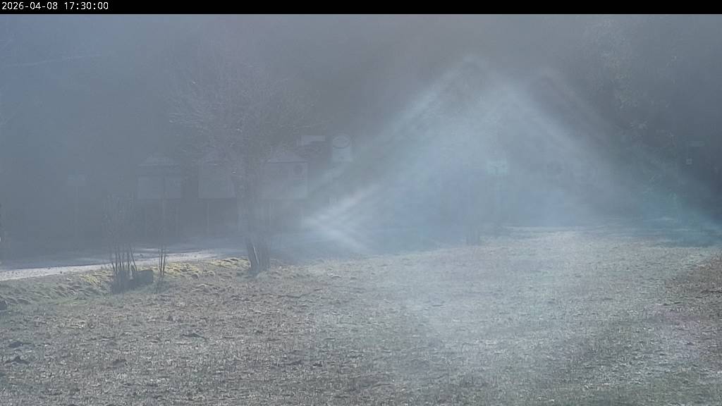 Webcam Johanngeorgenstadt