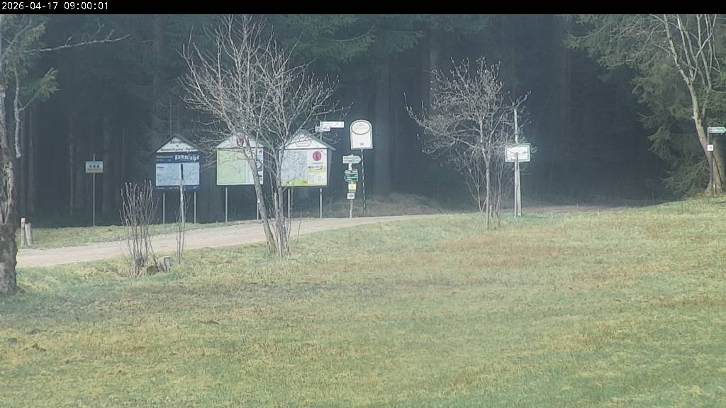 Webcam Johanngeorgenstadt