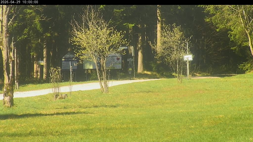 Webcam Johanngeorgenstadt