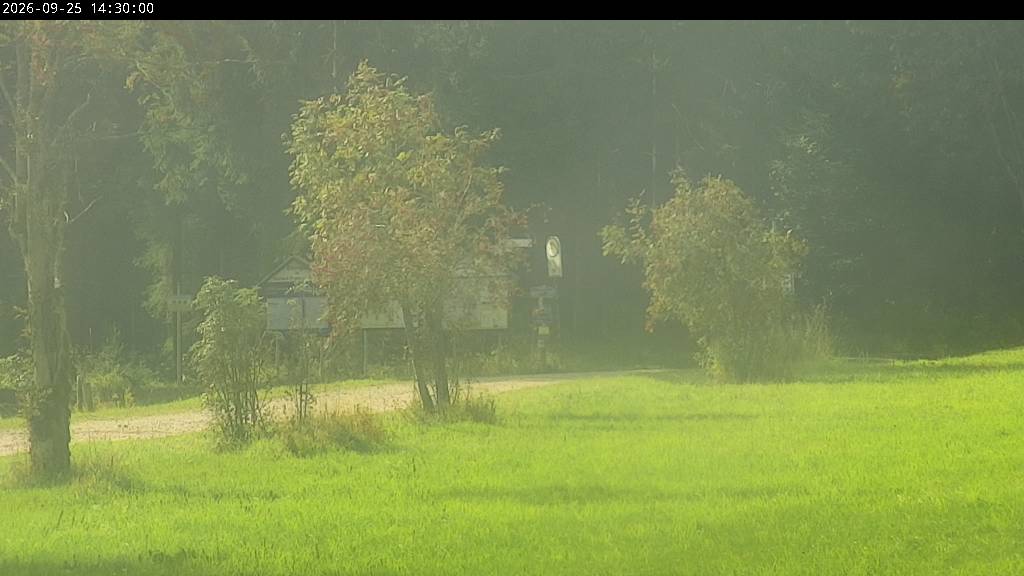 Webcam Johanngeorgenstadt