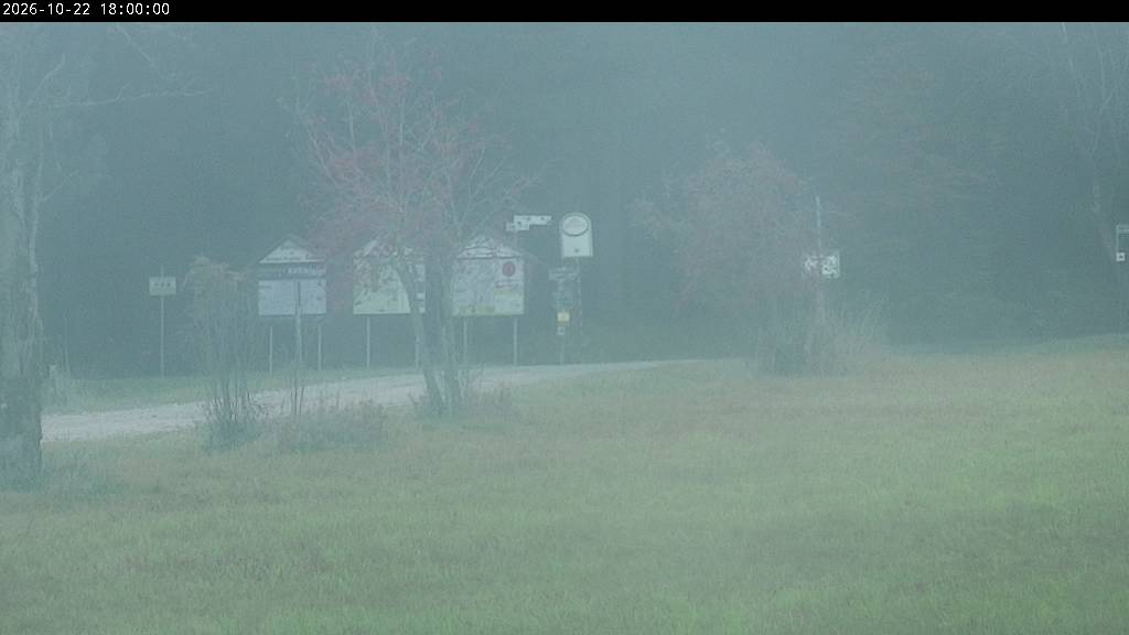 Webcam Johanngeorgenstadt