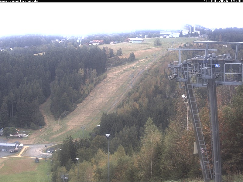 Webcam Schöneck Streugrün