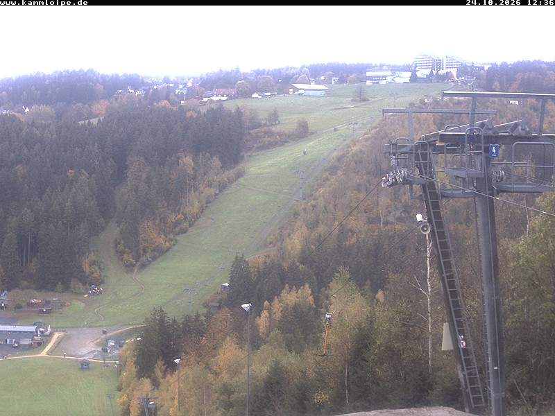 Webcam Schöneck Streugrün