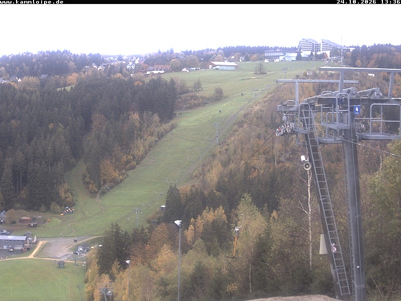 Webcam Schöneck Streugrün