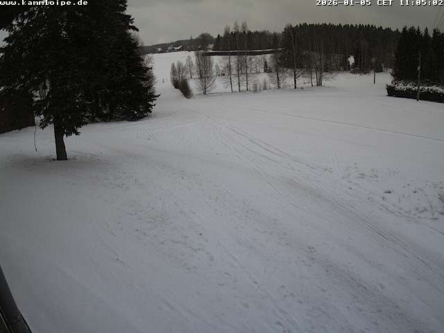 Webcam Hammerbrücke