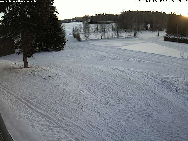Webcam Hammerbrücke