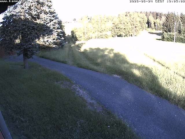 Webcam Hammerbrücke
