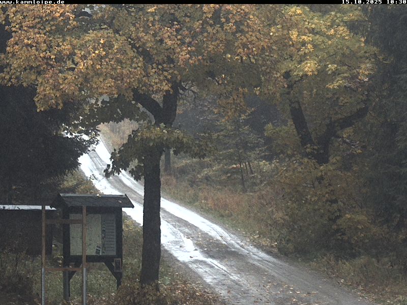 Webcam Weitersglashütte 2