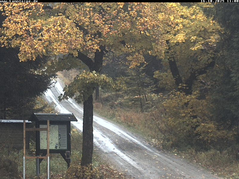 Webcam Weitersglashütte 2