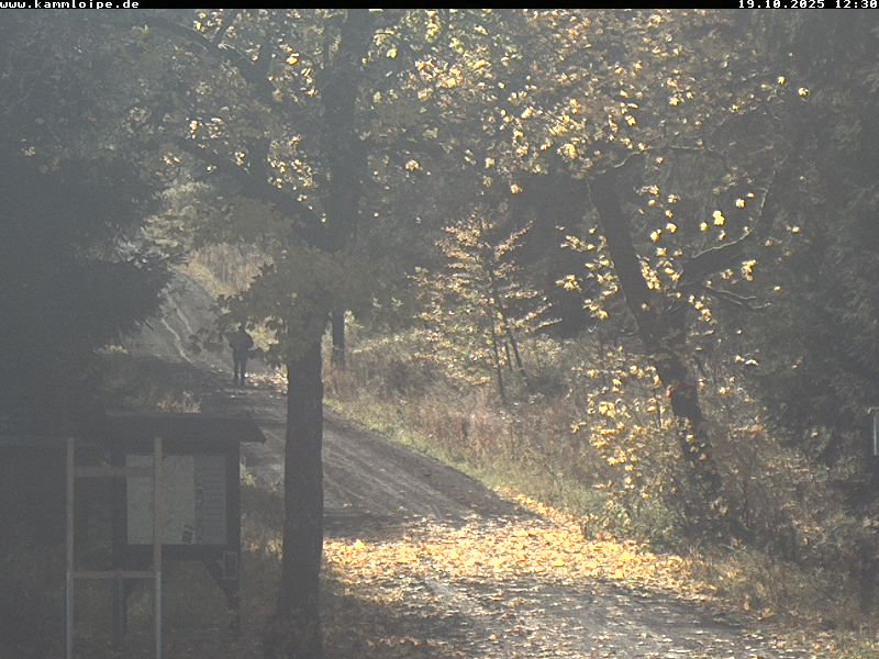 Webcam Weitersglashütte 2