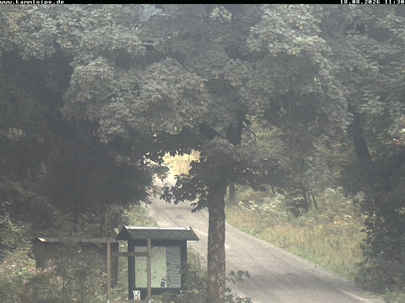 Webcam Weitersglashütte 2