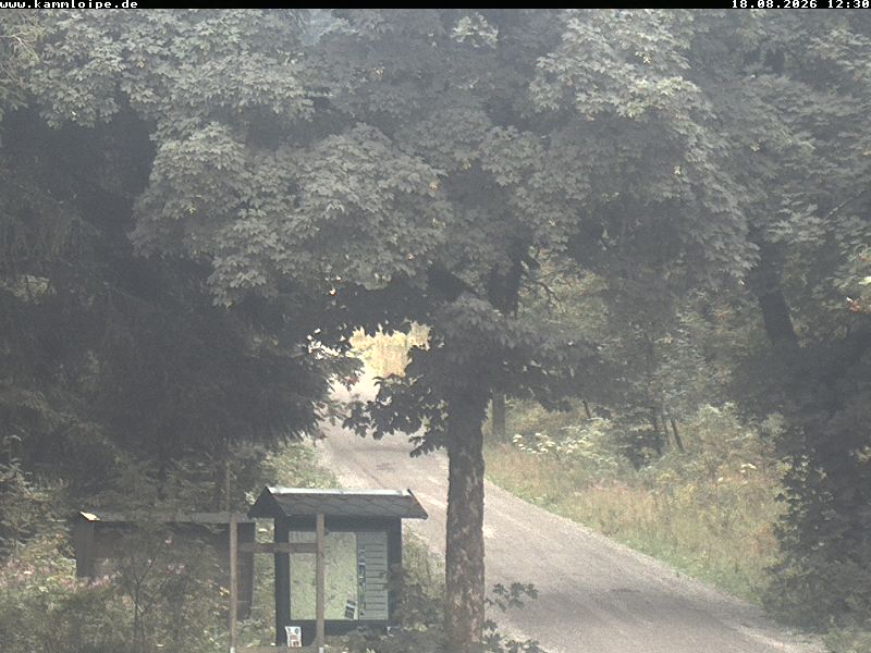 Webcam Weitersglashütte 2