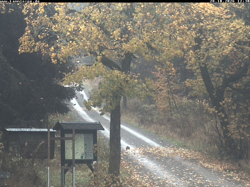Webcam Weitersglashütte 2