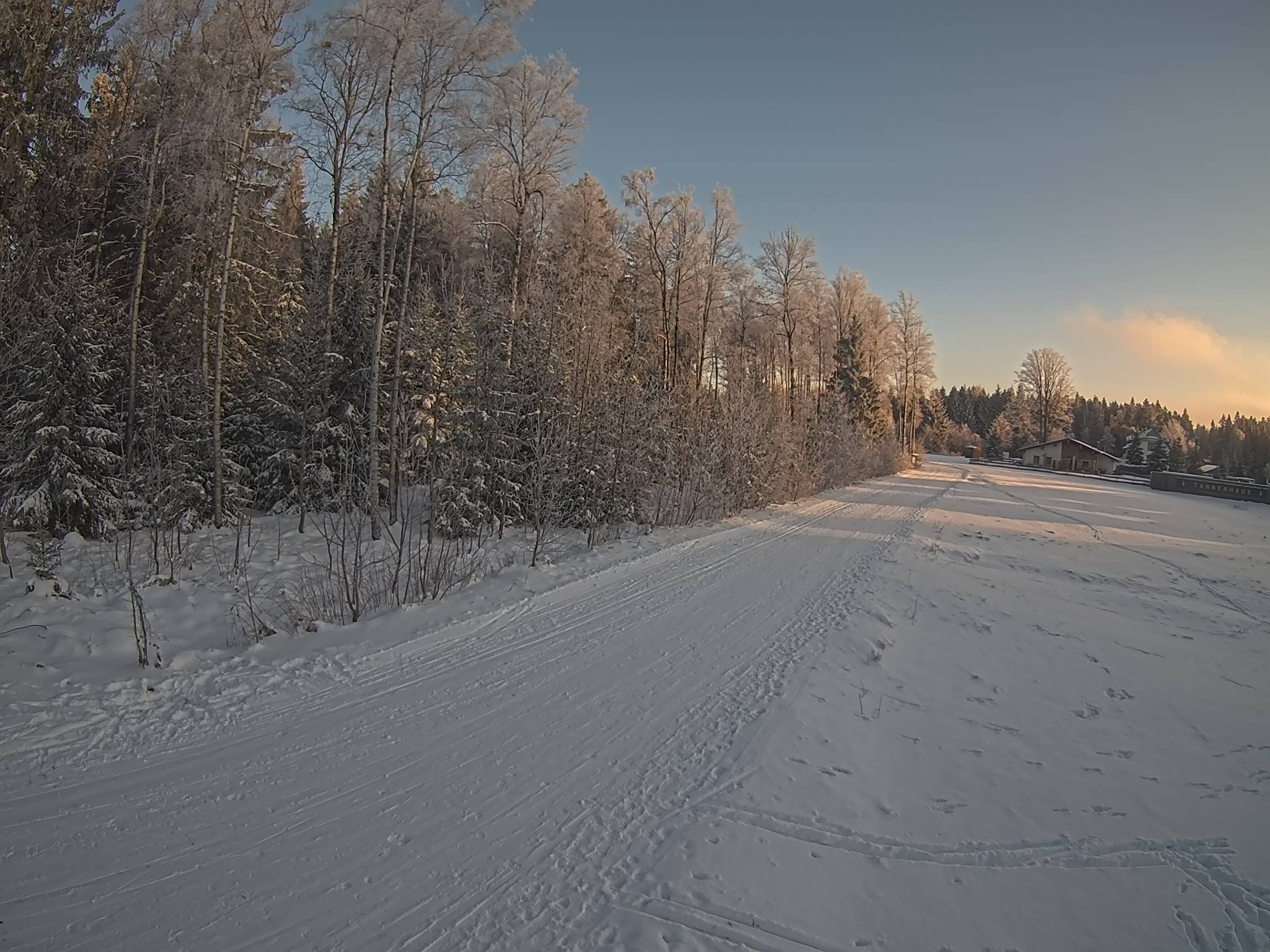 Webcam Schöneck Bogen