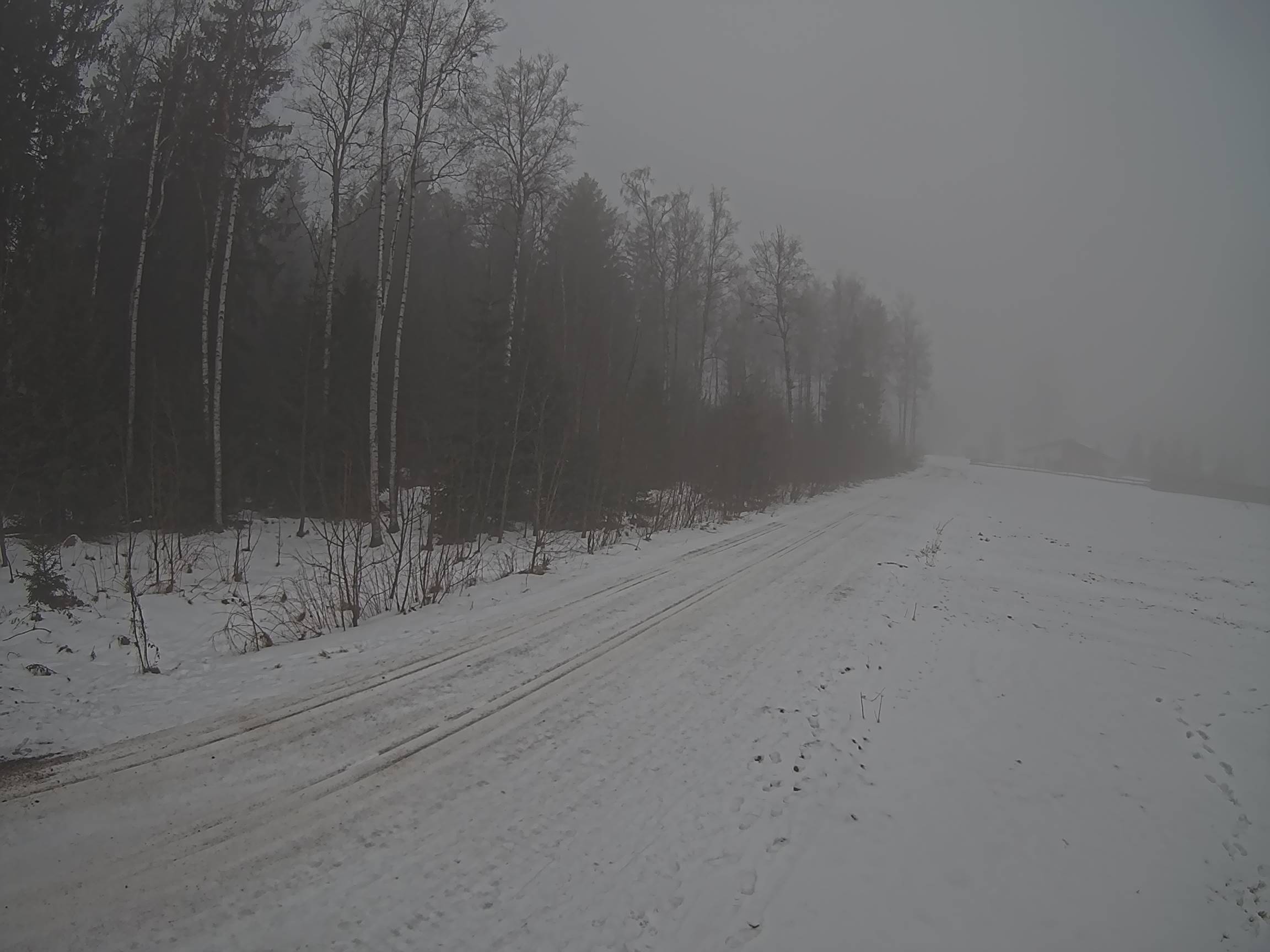 Webcam Schöneck Bogen