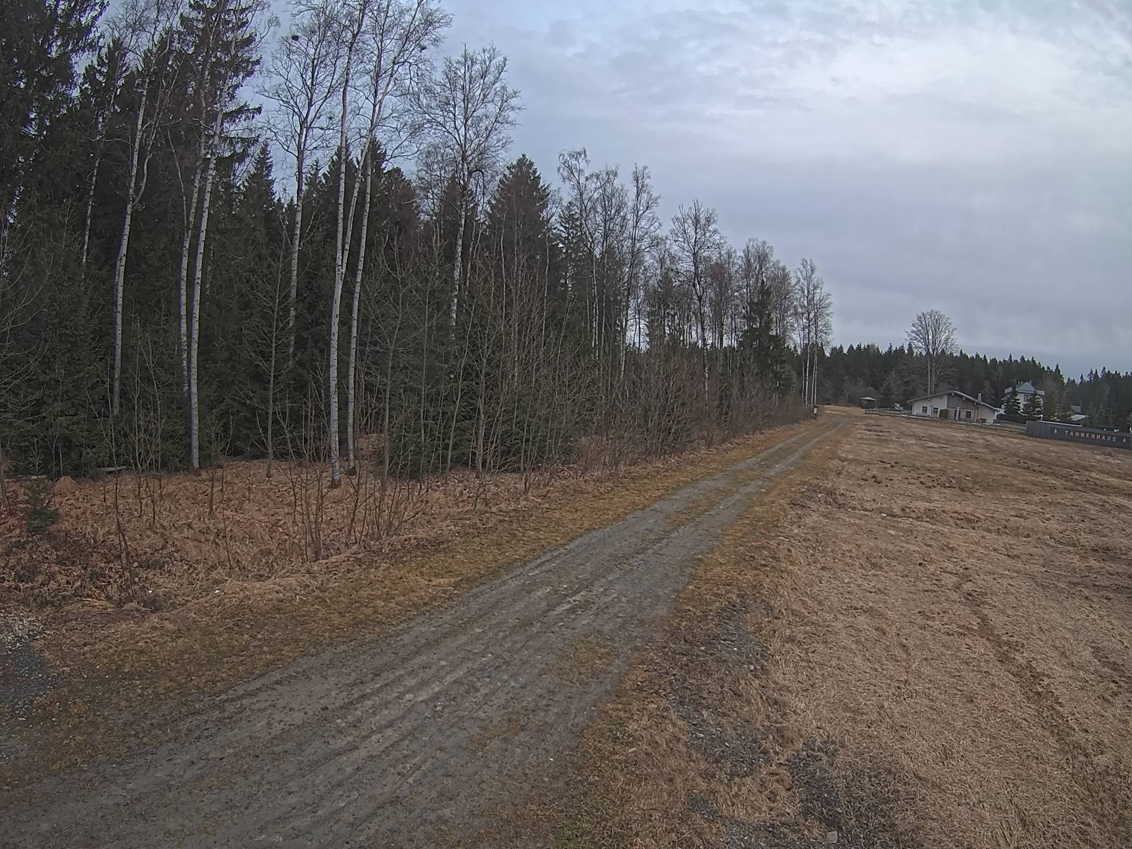 Webcam Schöneck Bogen