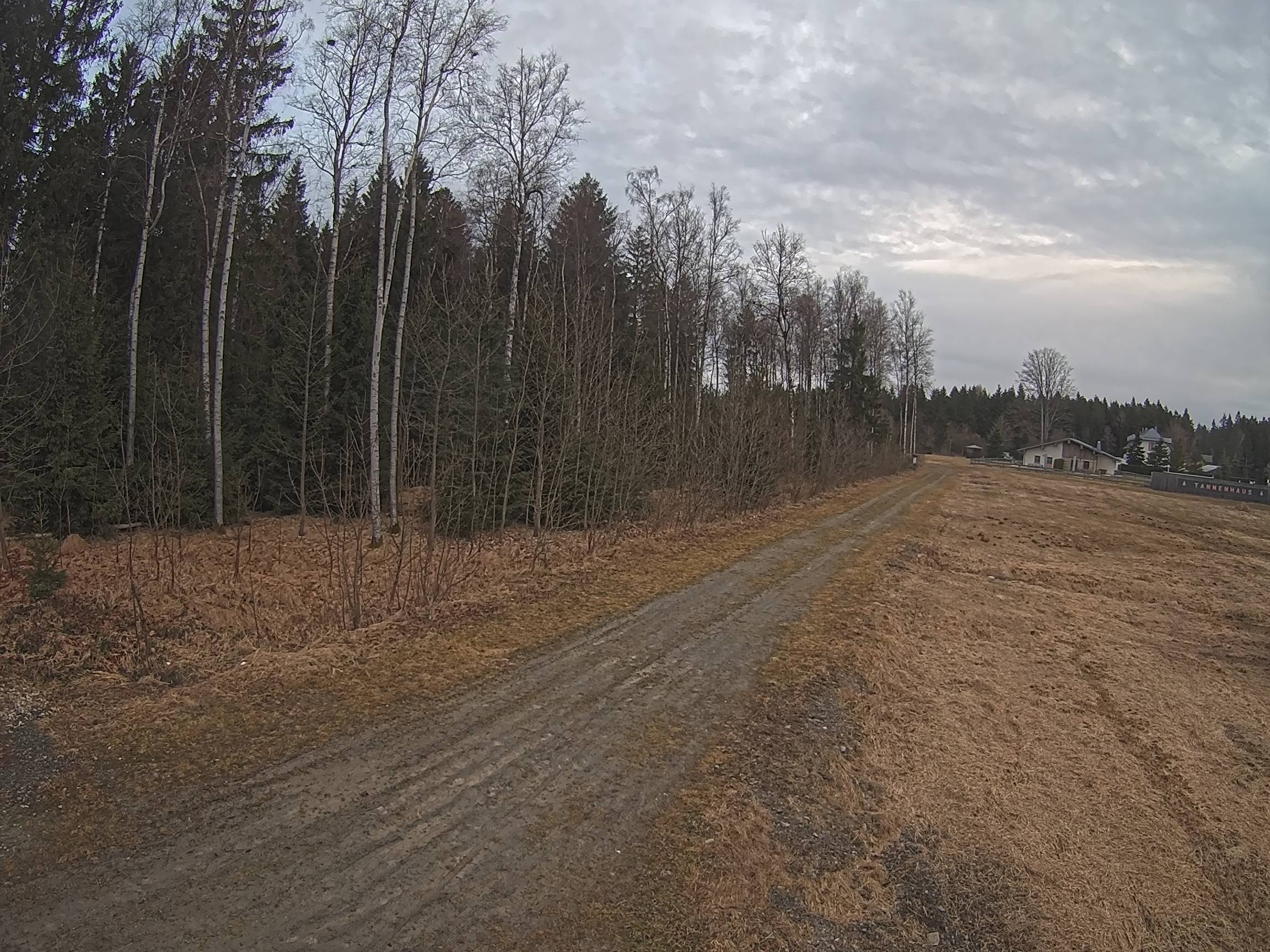 Webcam Schöneck Bogen