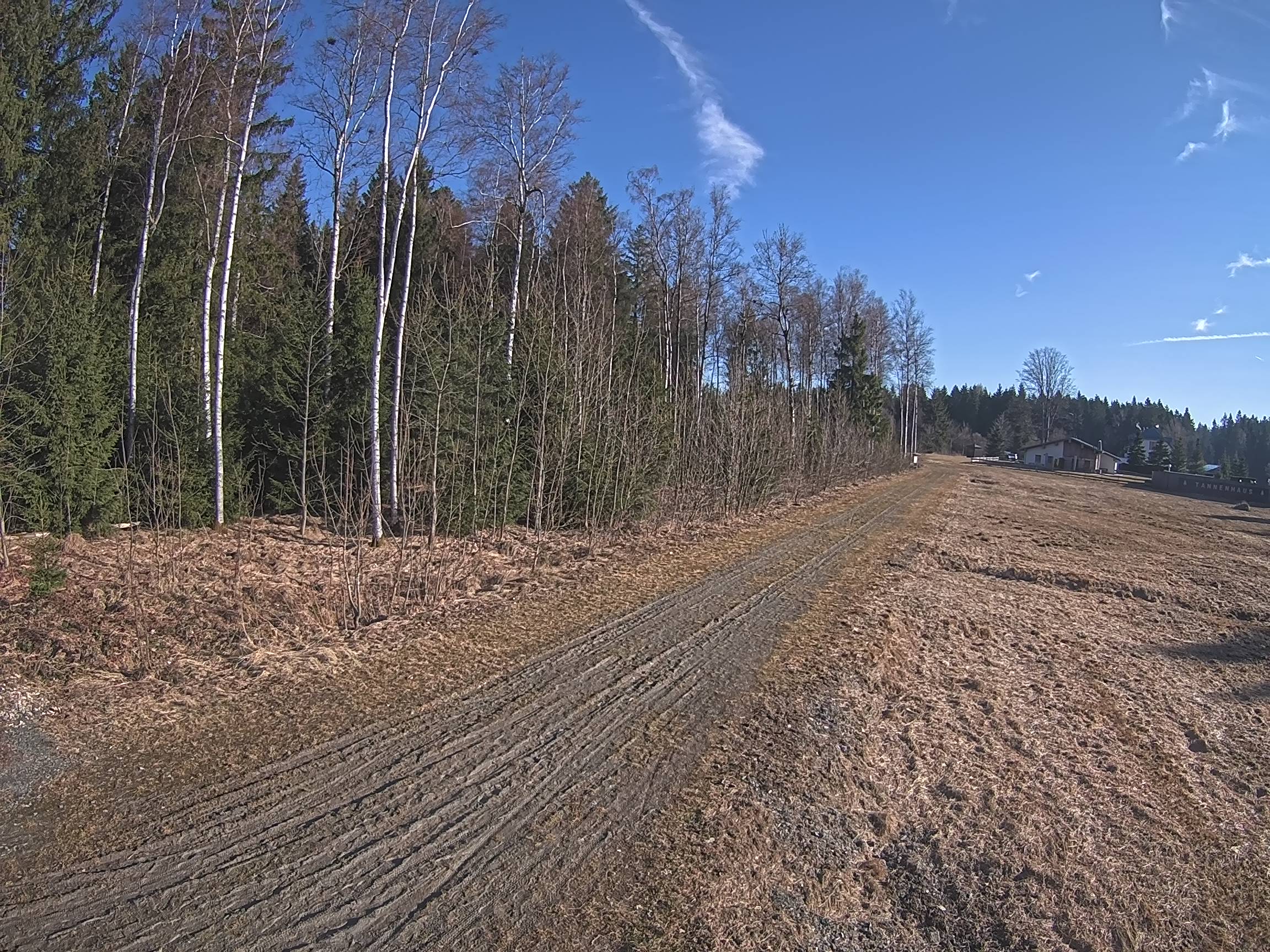 Webcam Schöneck Bogen