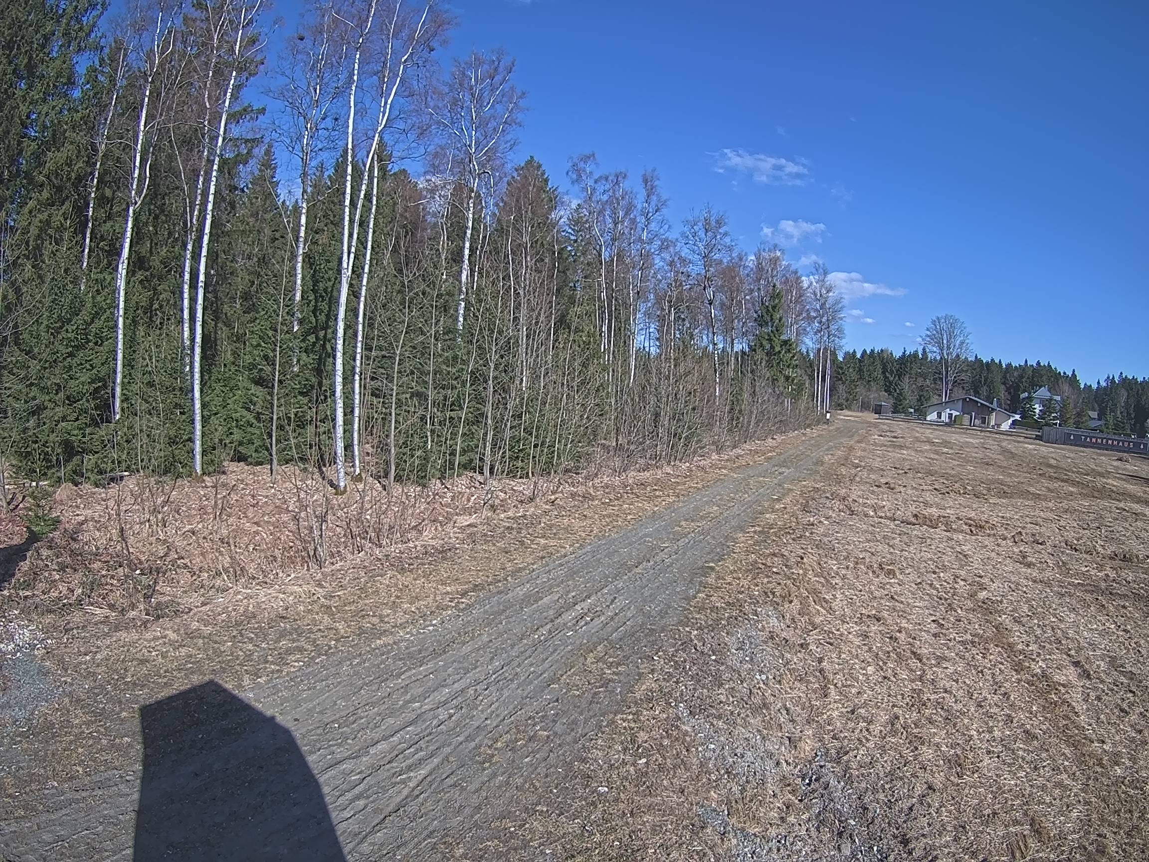 Webcam Schöneck Bogen