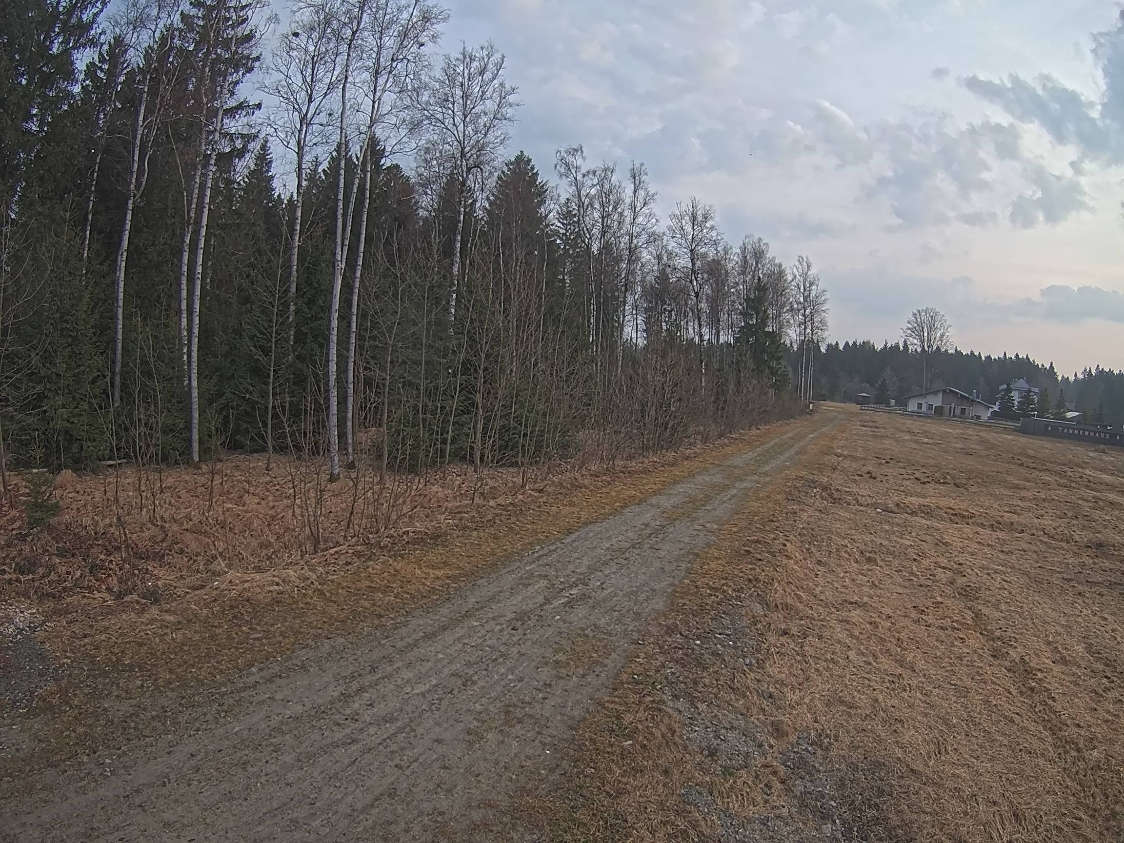 Webcam Schöneck Bogen