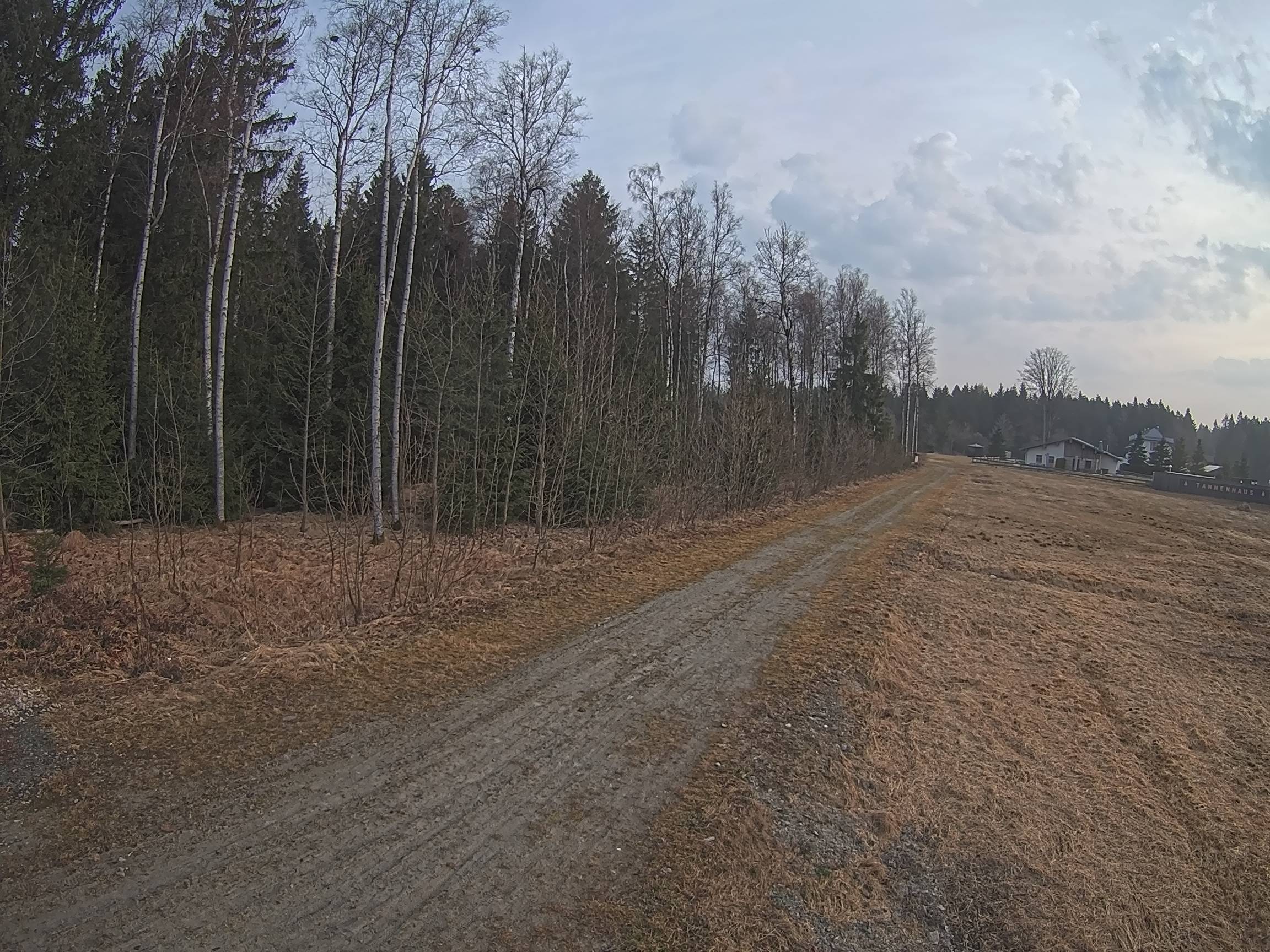 Webcam Schöneck Bogen