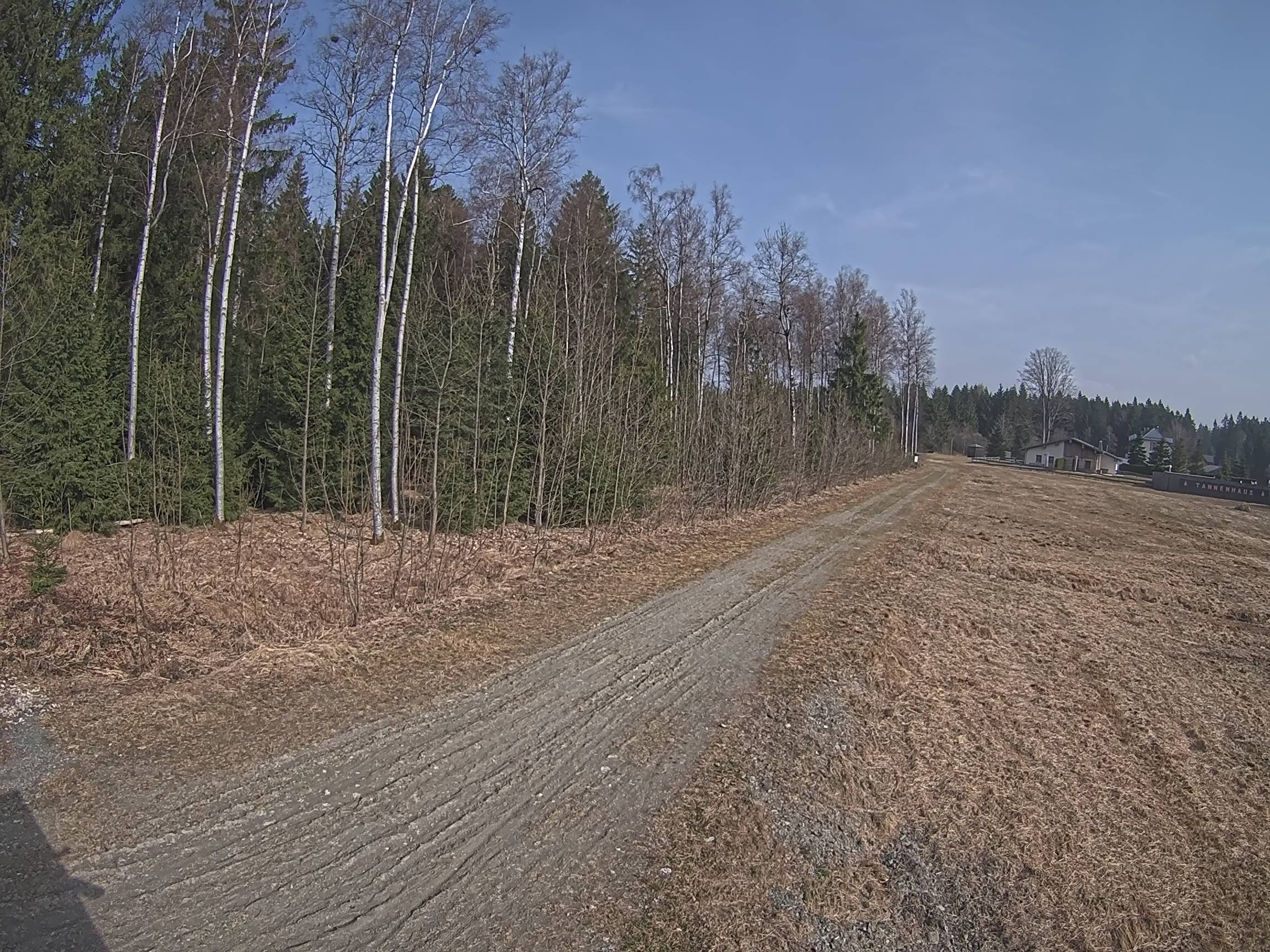 Webcam Schöneck Bogen