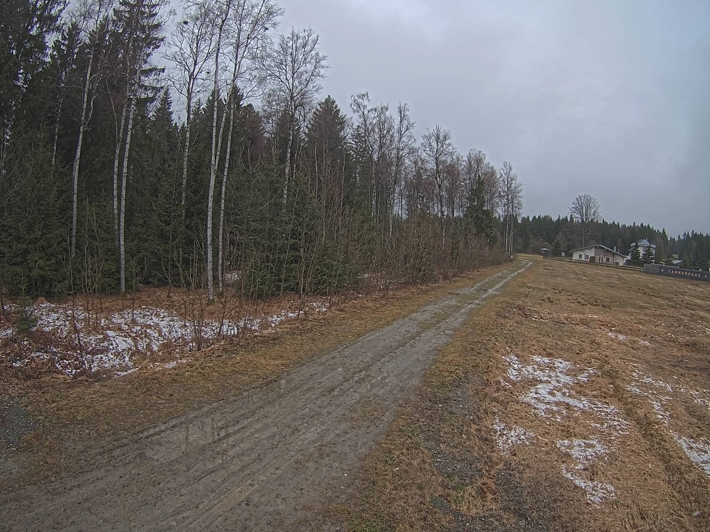 Webcam Schöneck Bogen