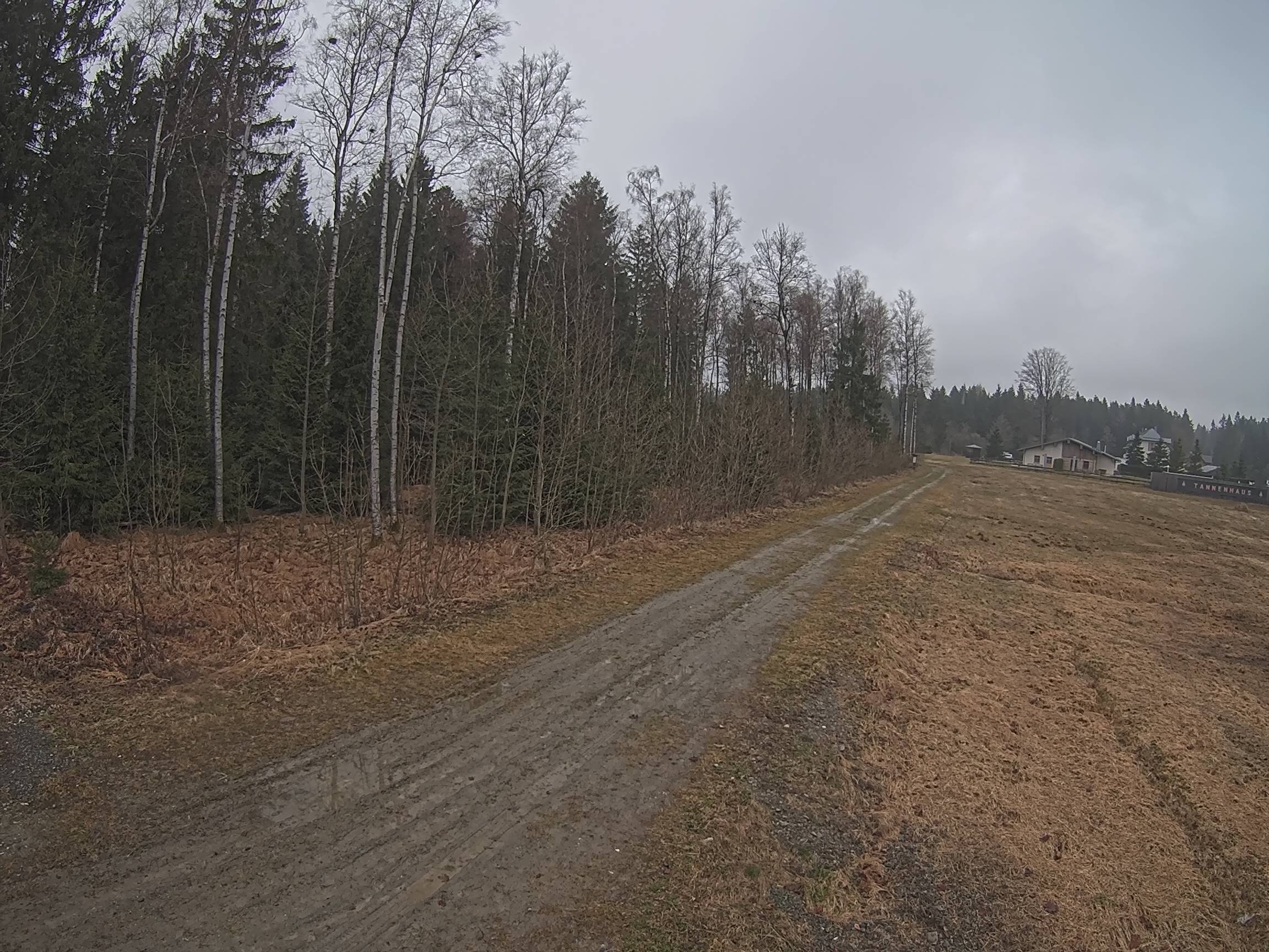 Webcam Schöneck Bogen