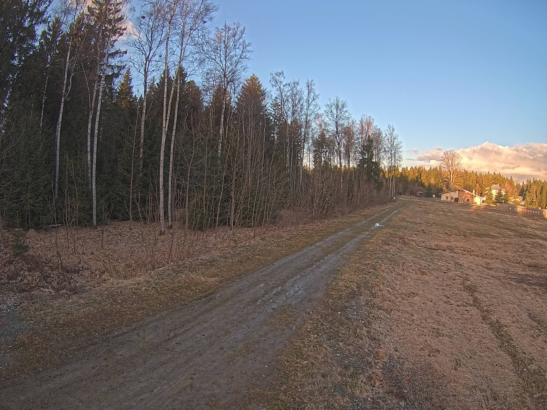 Webcam Schöneck Bogen