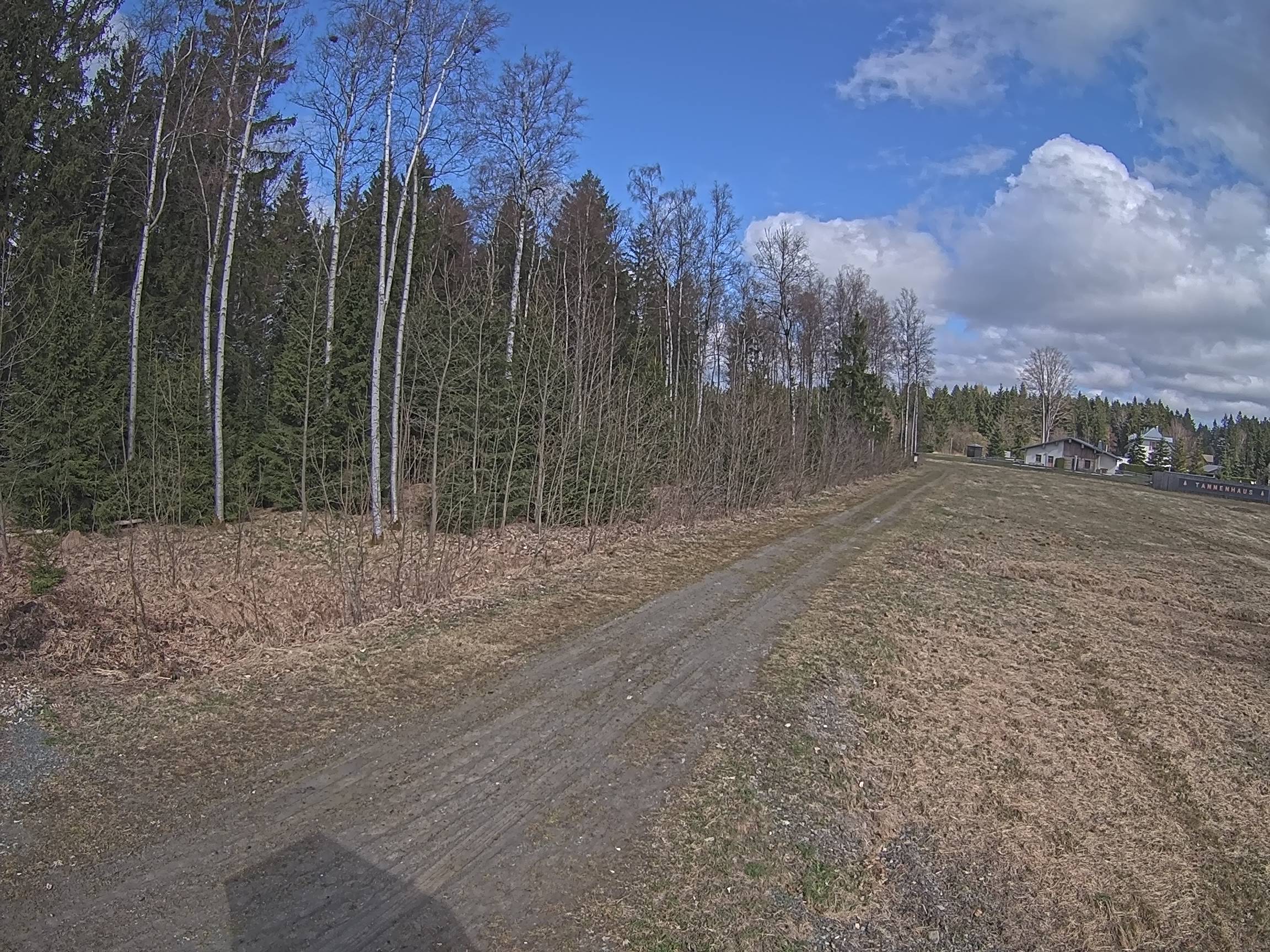 Webcam Schöneck Bogen