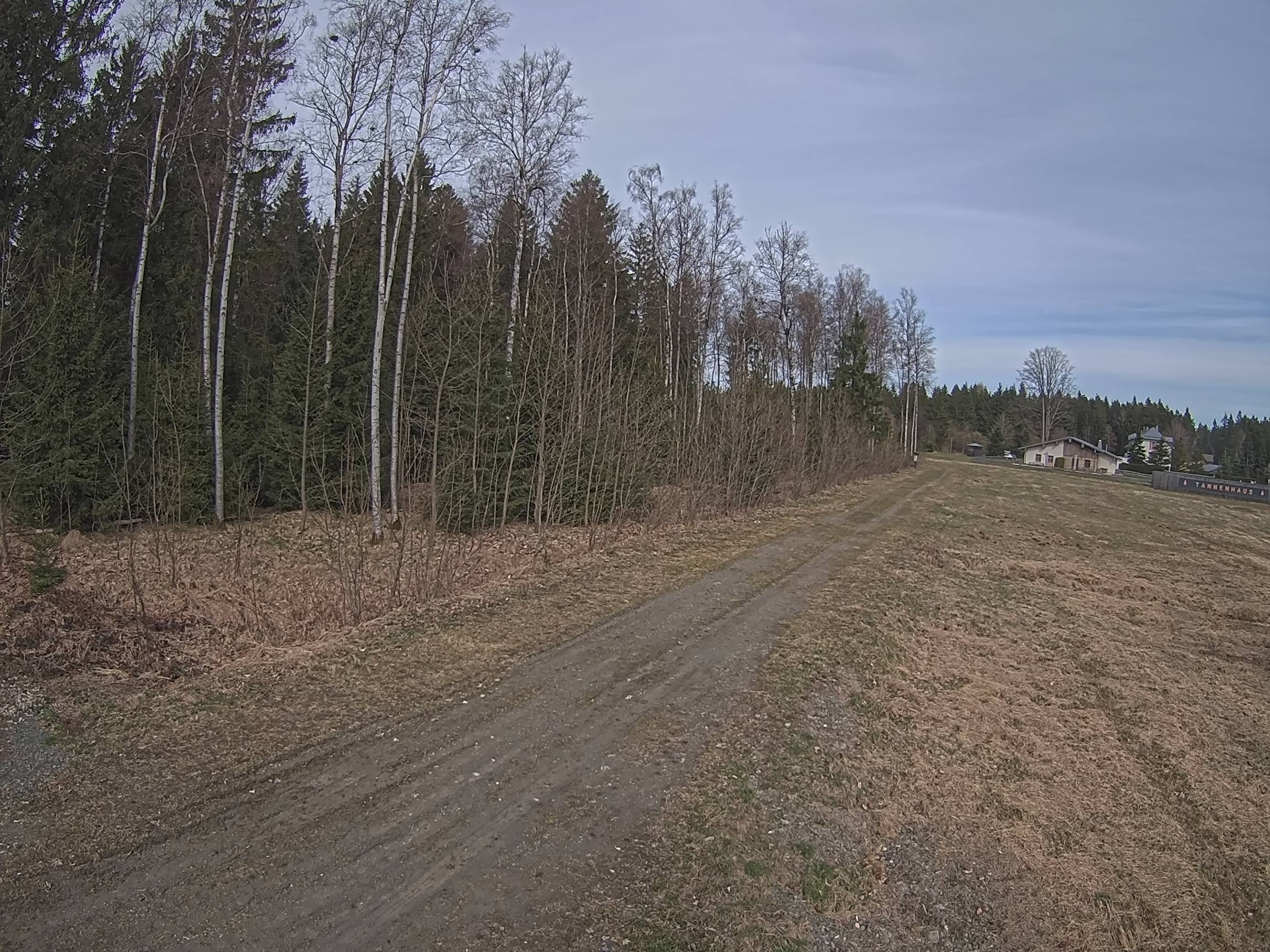 Webcam Schöneck Bogen