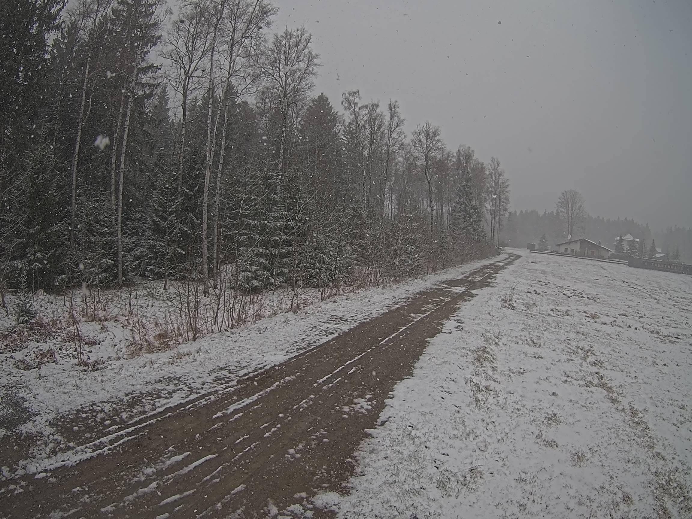 Webcam Schöneck Bogen