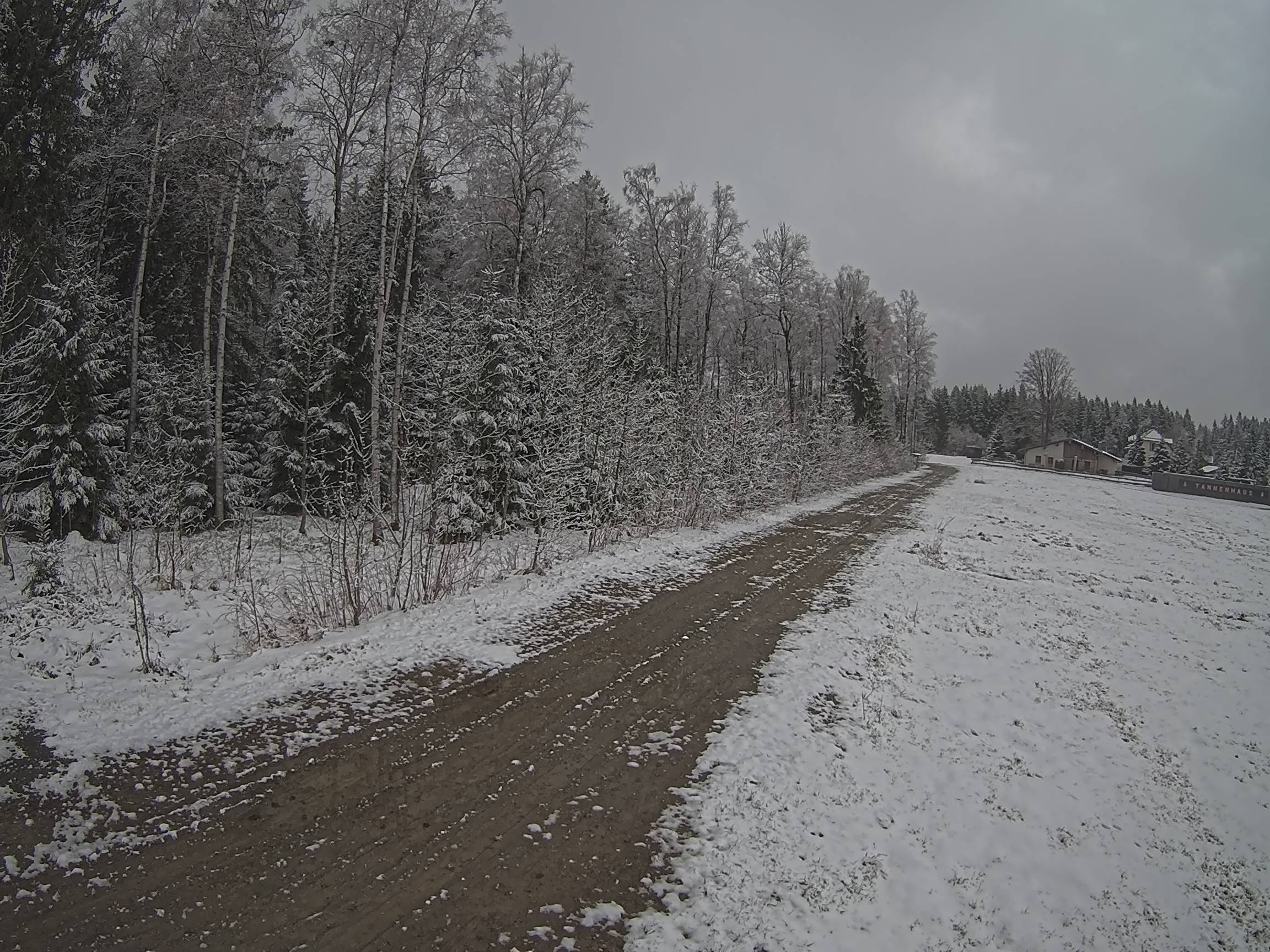 Webcam Schöneck Bogen