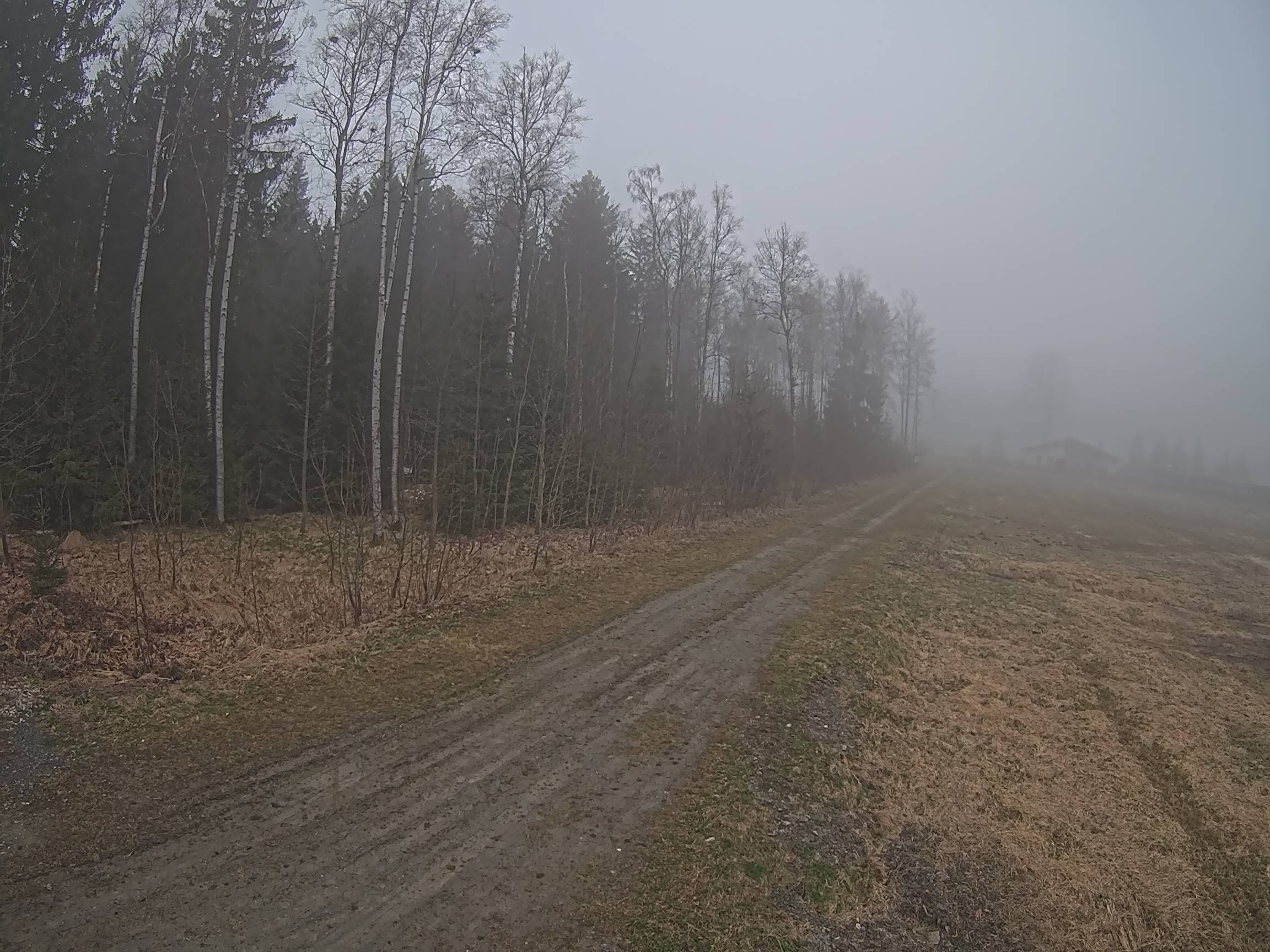 Webcam Schöneck Bogen