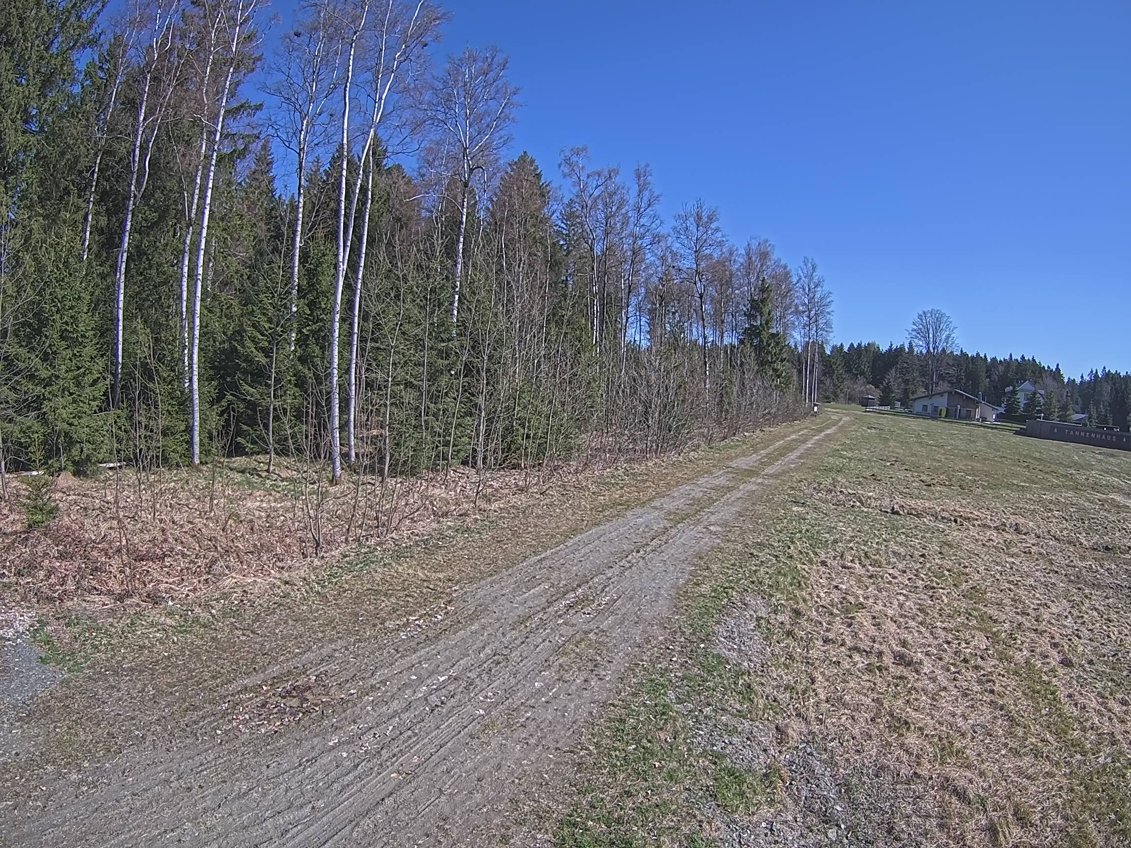 Webcam Schöneck Bogen