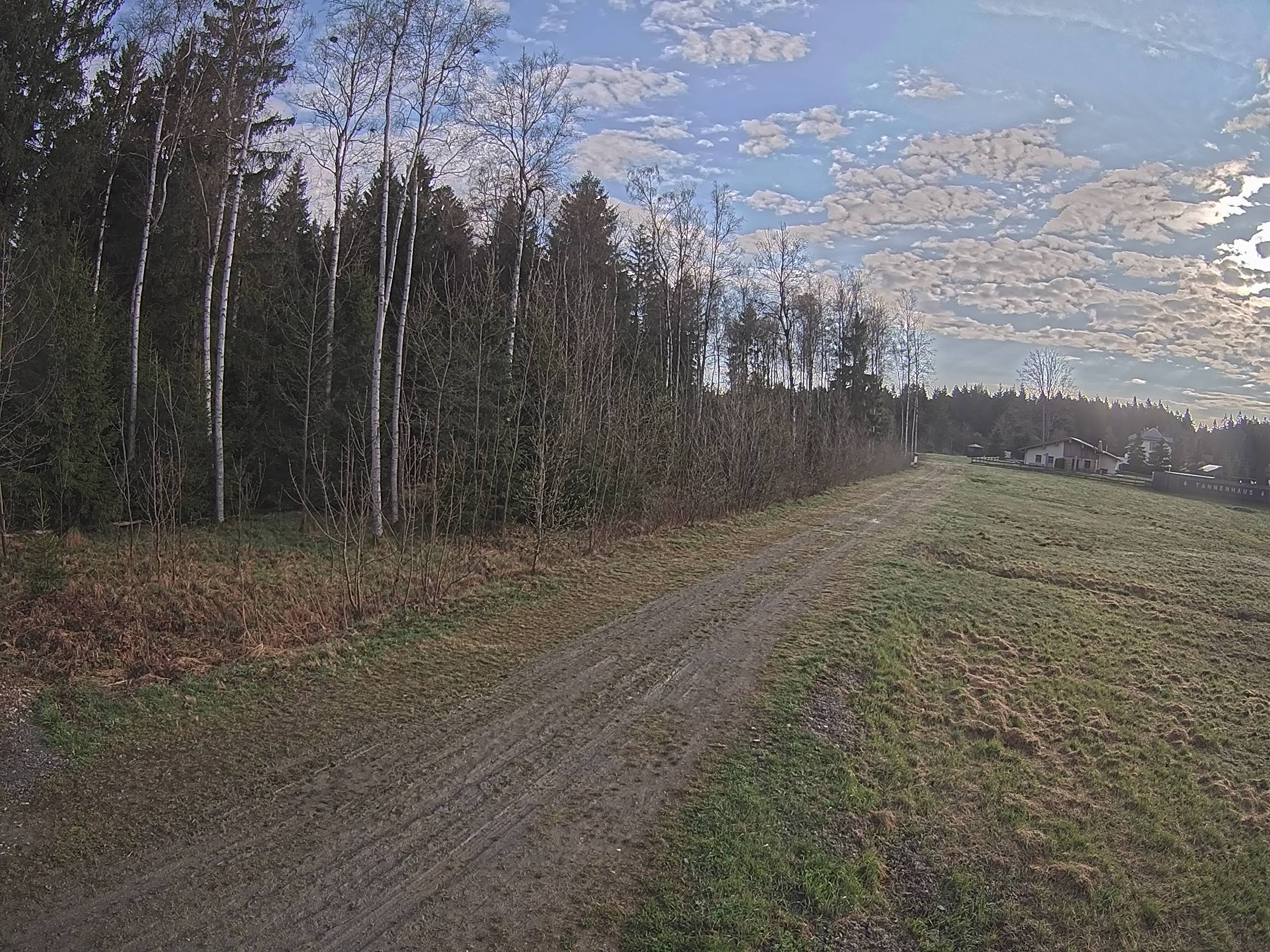 Webcam Schöneck Bogen