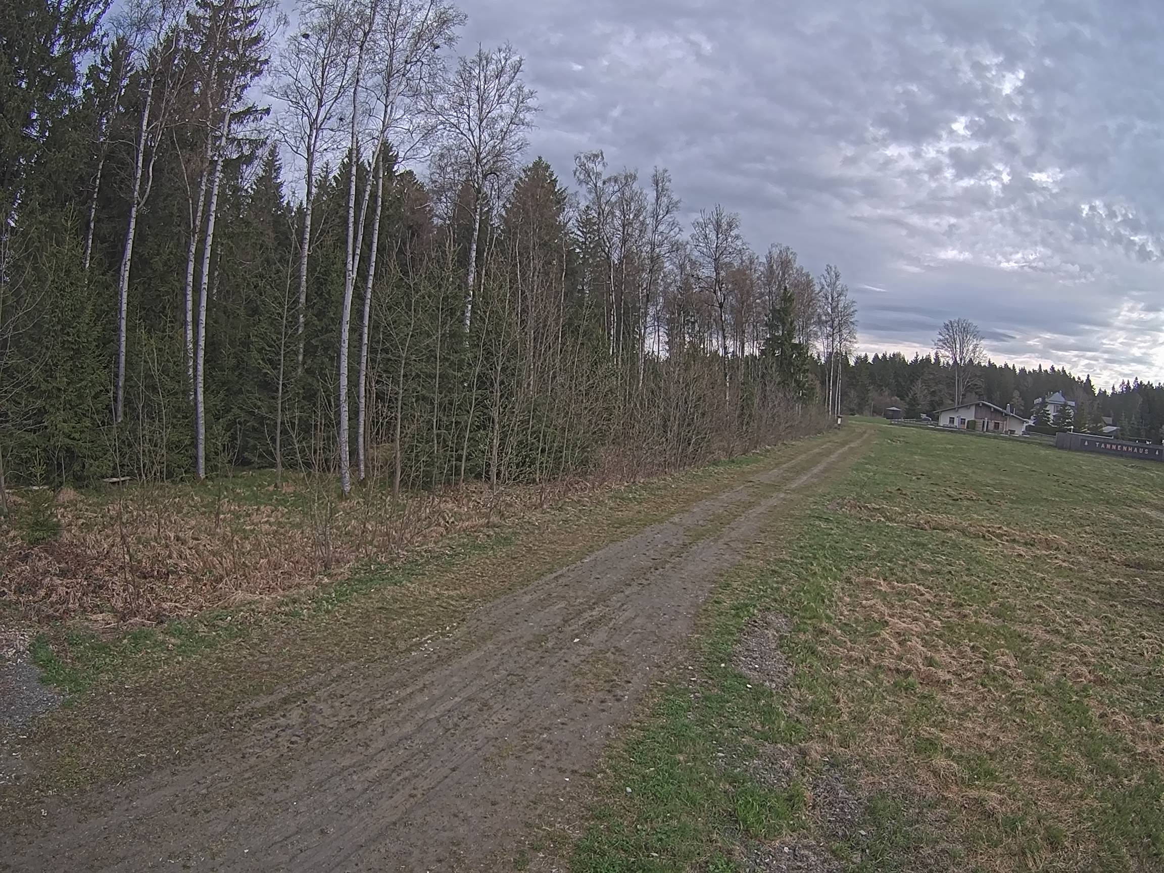 Webcam Schöneck Bogen