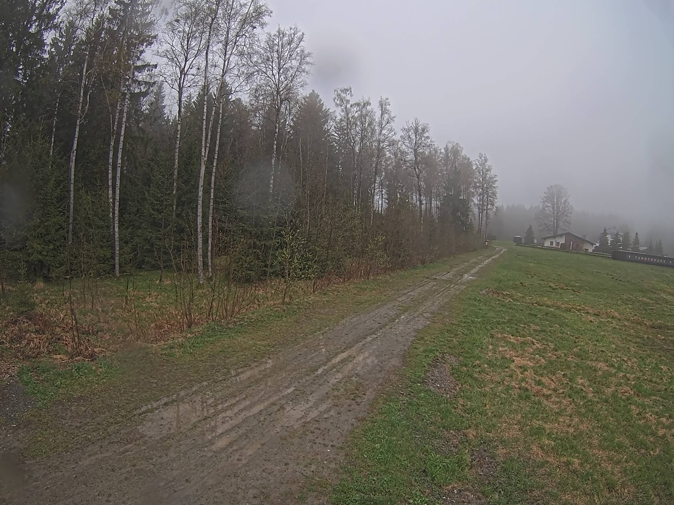 Webcam Schöneck Bogen