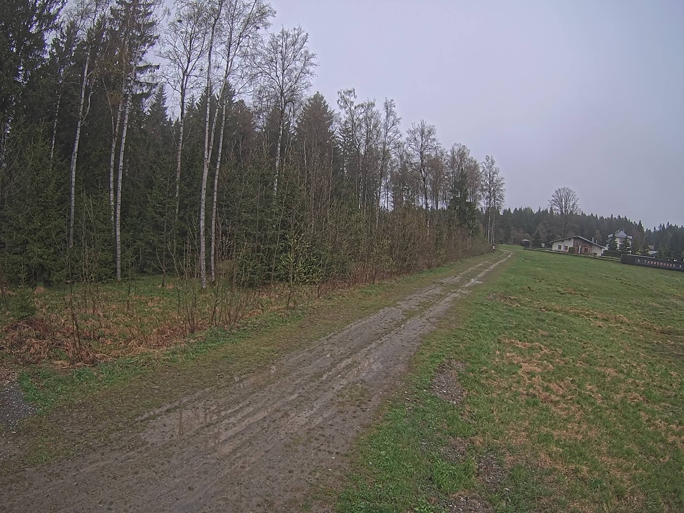 Webcam Schöneck Bogen