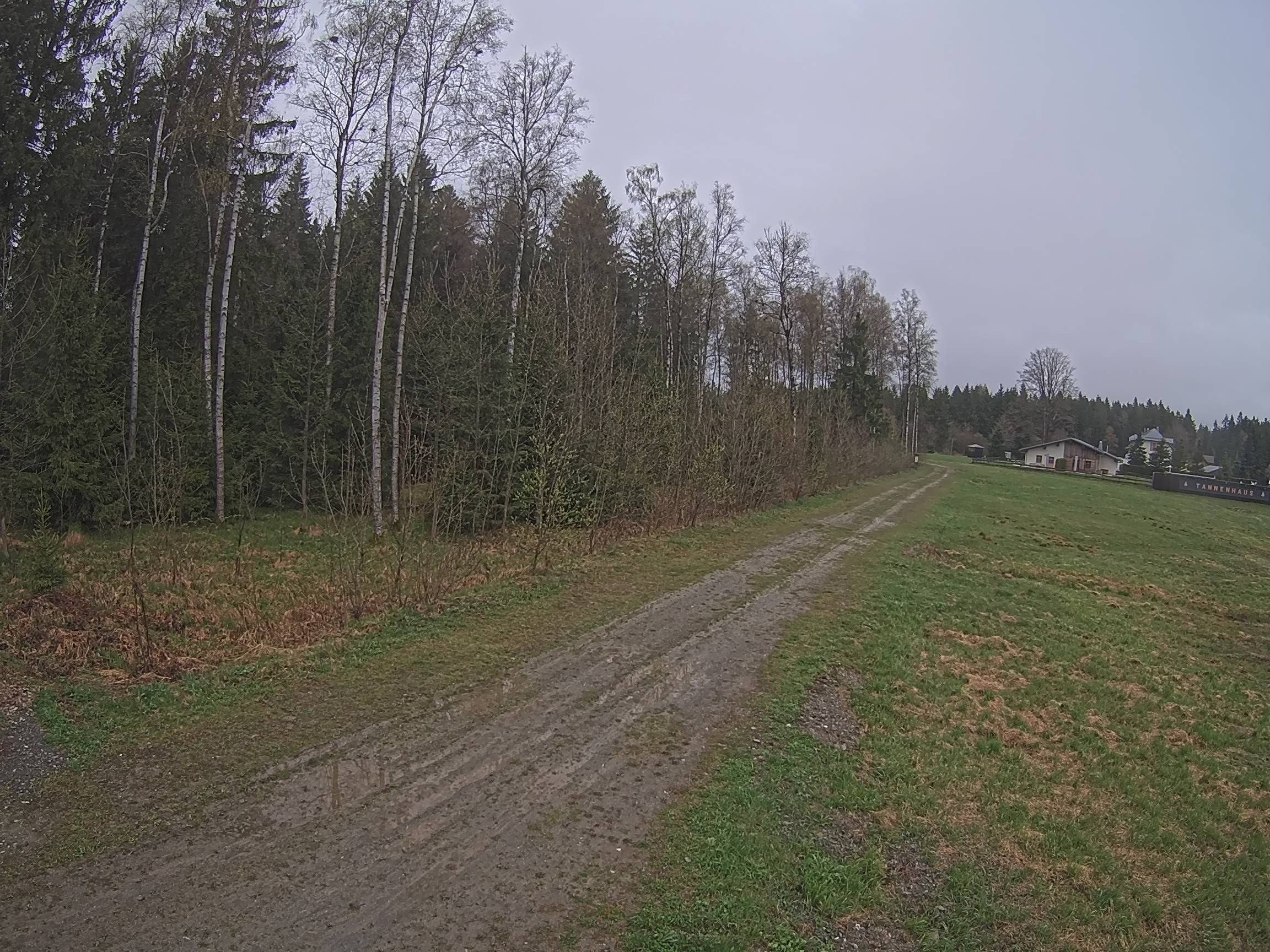 Webcam Schöneck Bogen