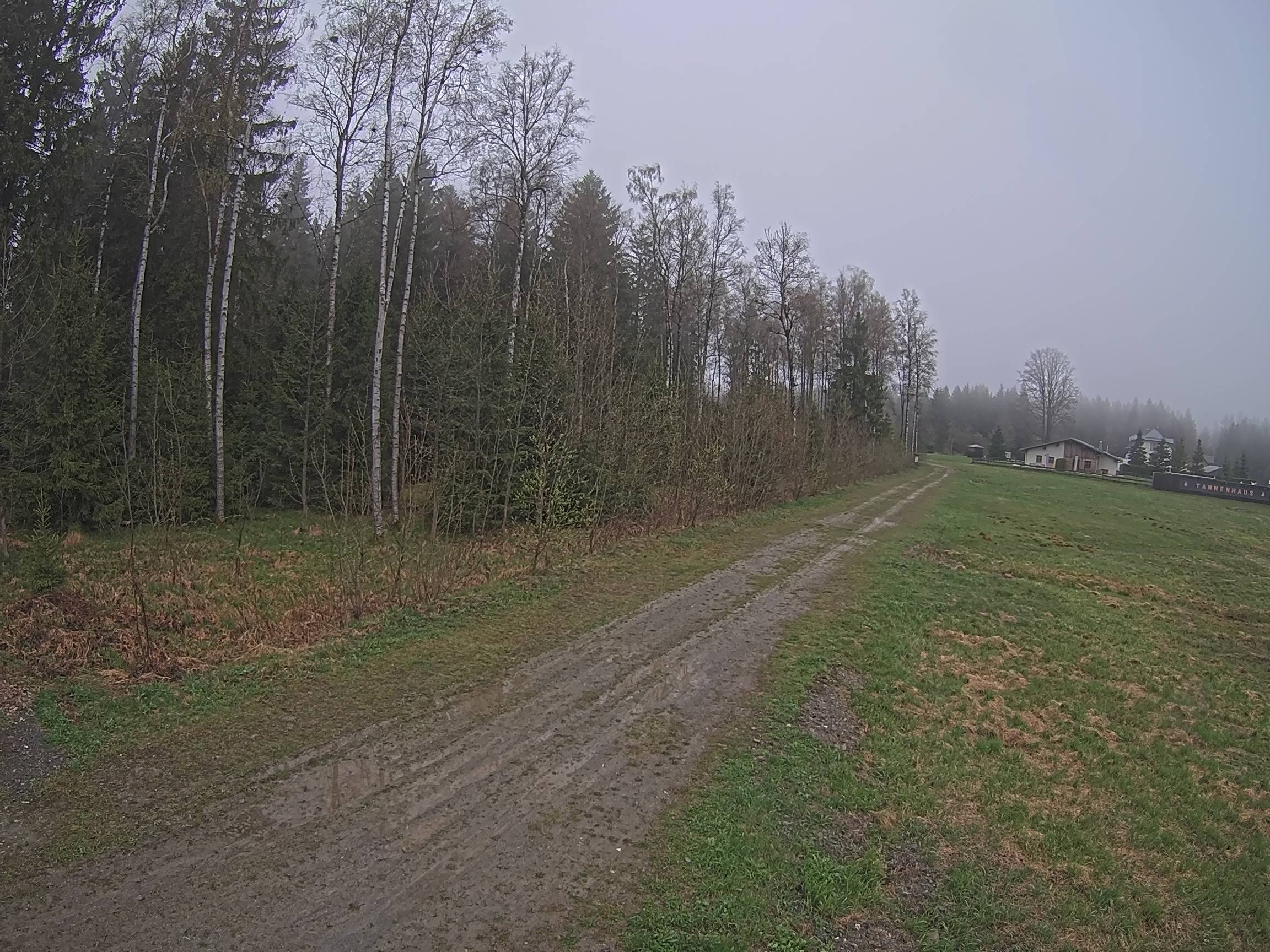 Webcam Schöneck Bogen