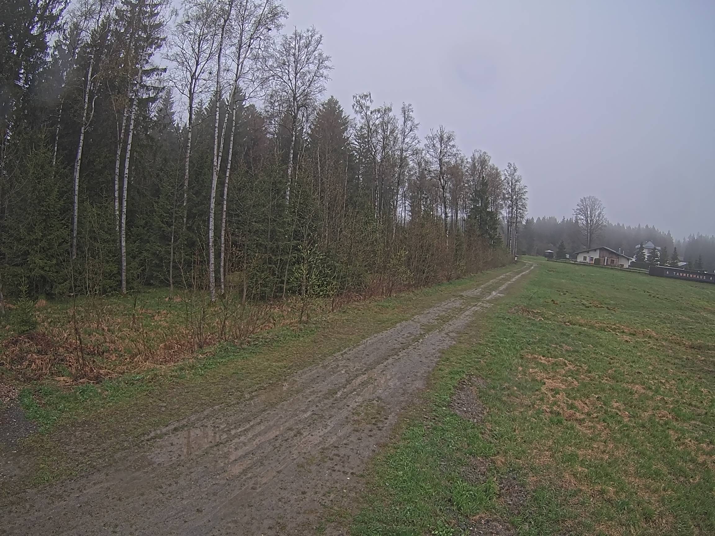 Webcam Schöneck Bogen