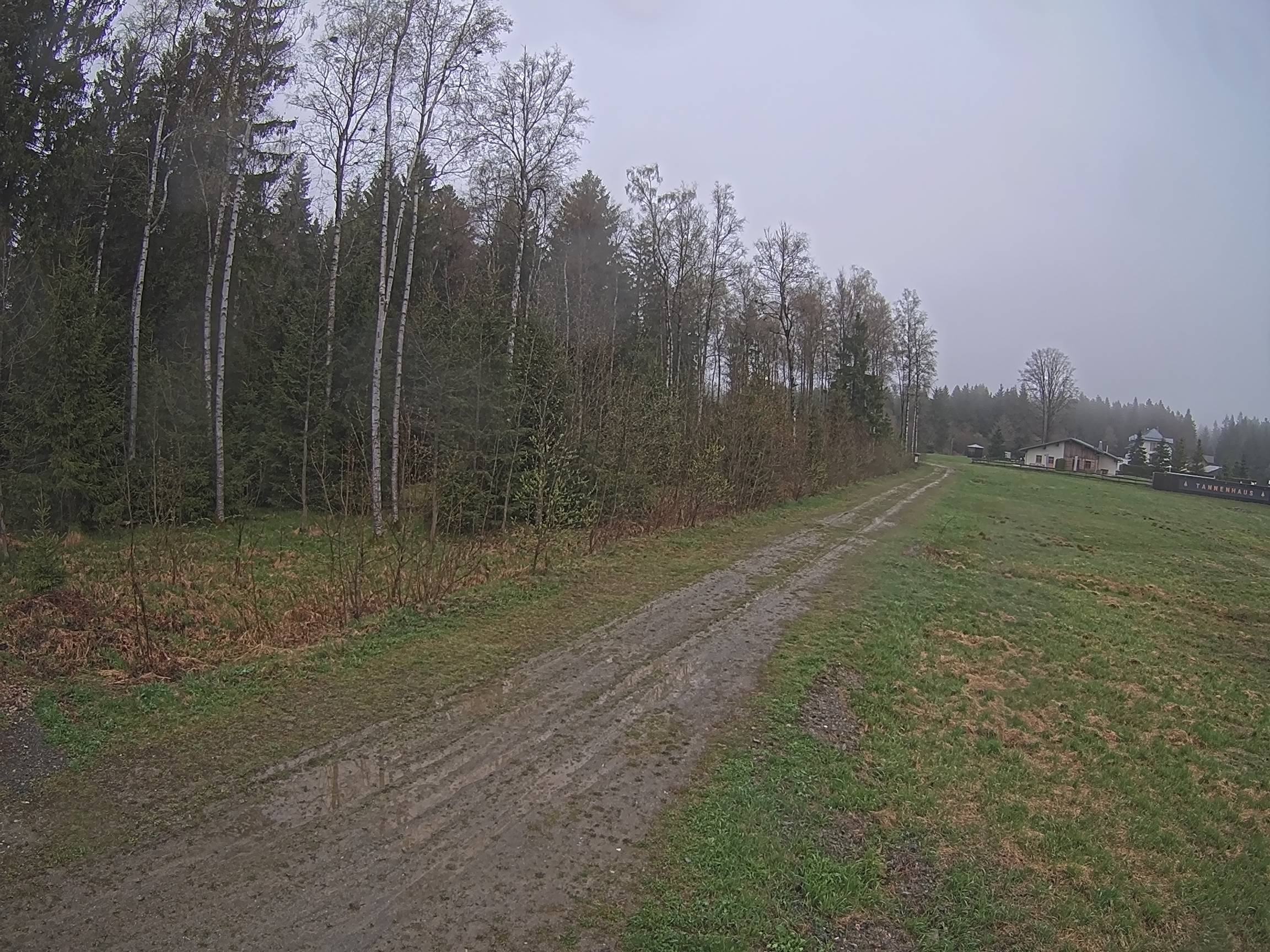 Webcam Schöneck Bogen